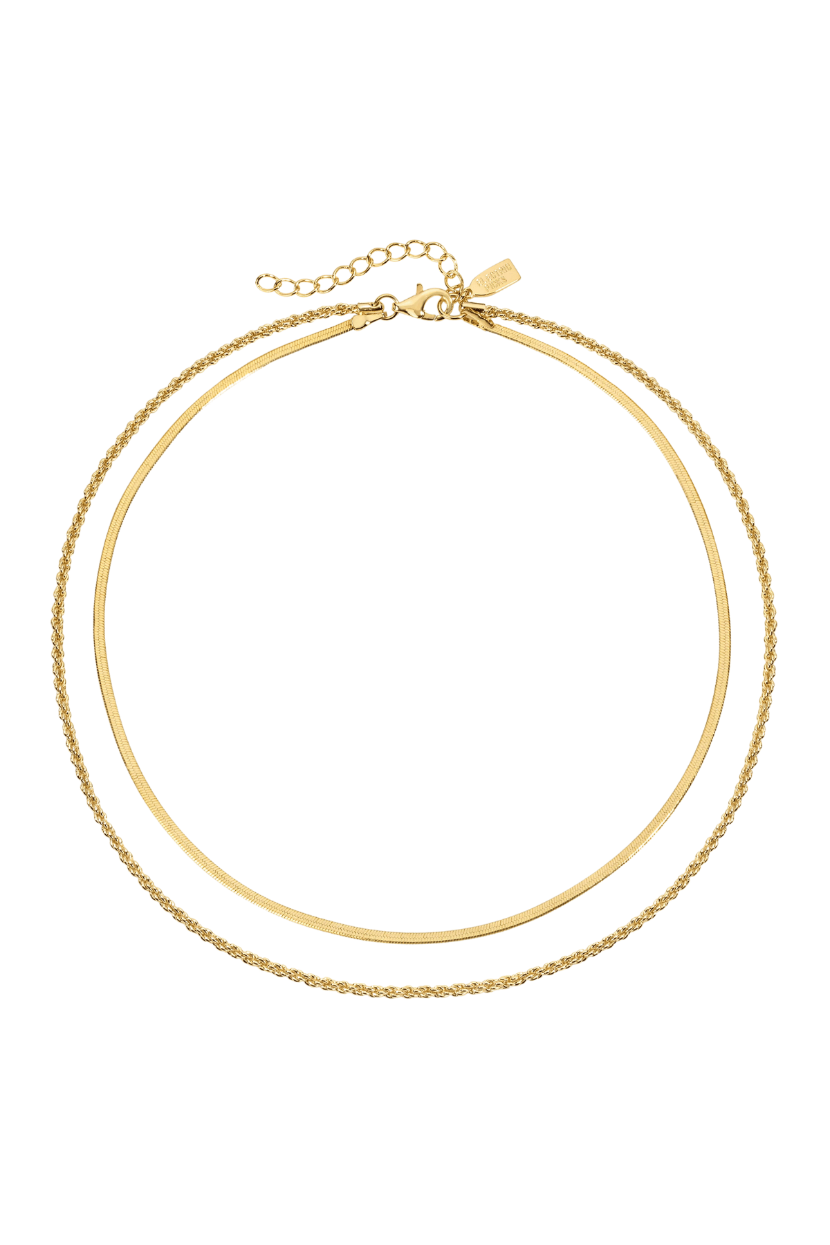 Electric Picks Twice as Nice Necklace