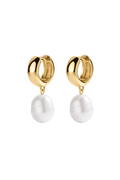 Electric Picks San Tropez Hoops