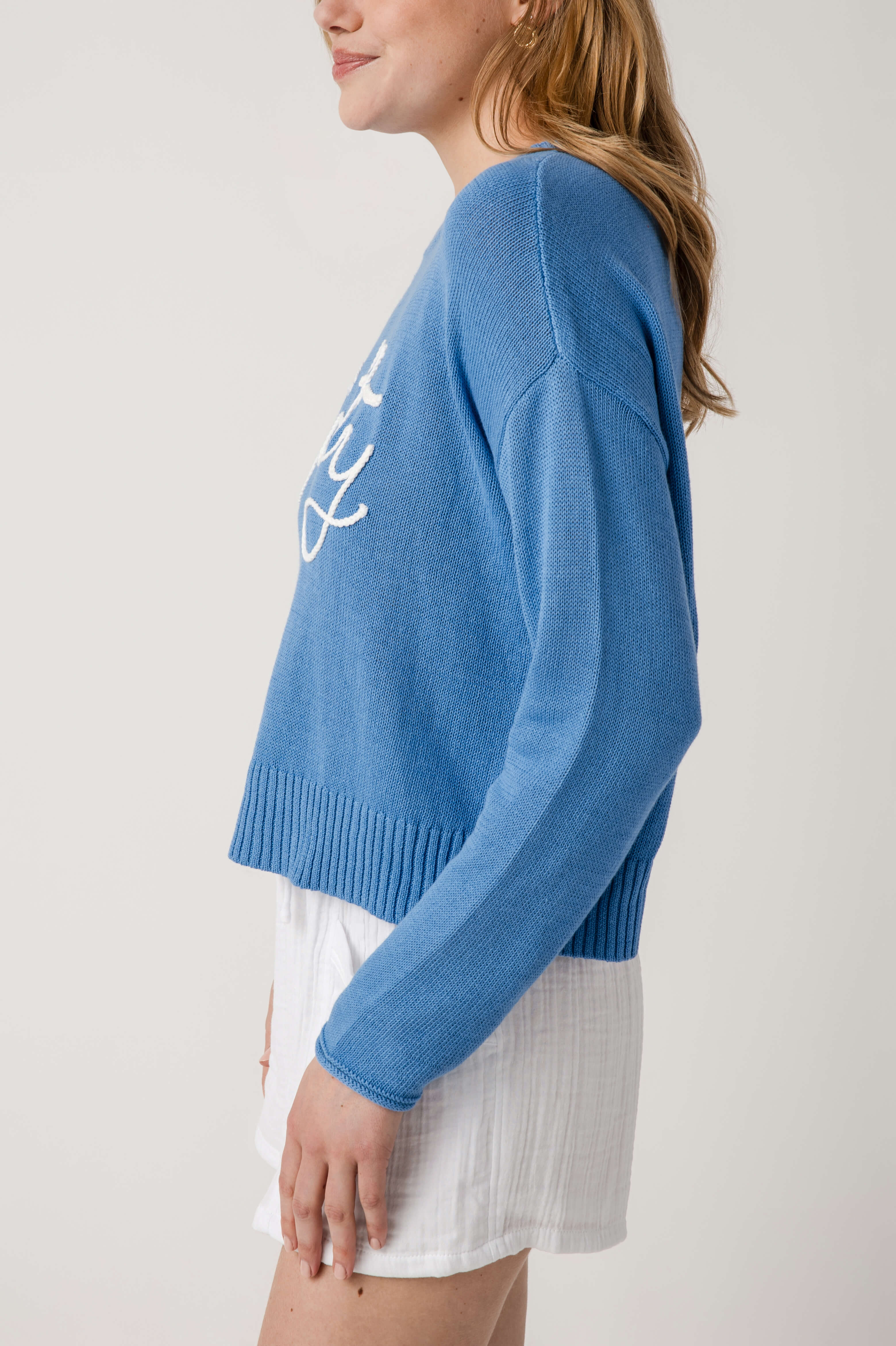 Z Supply Sienna Salty Sweater