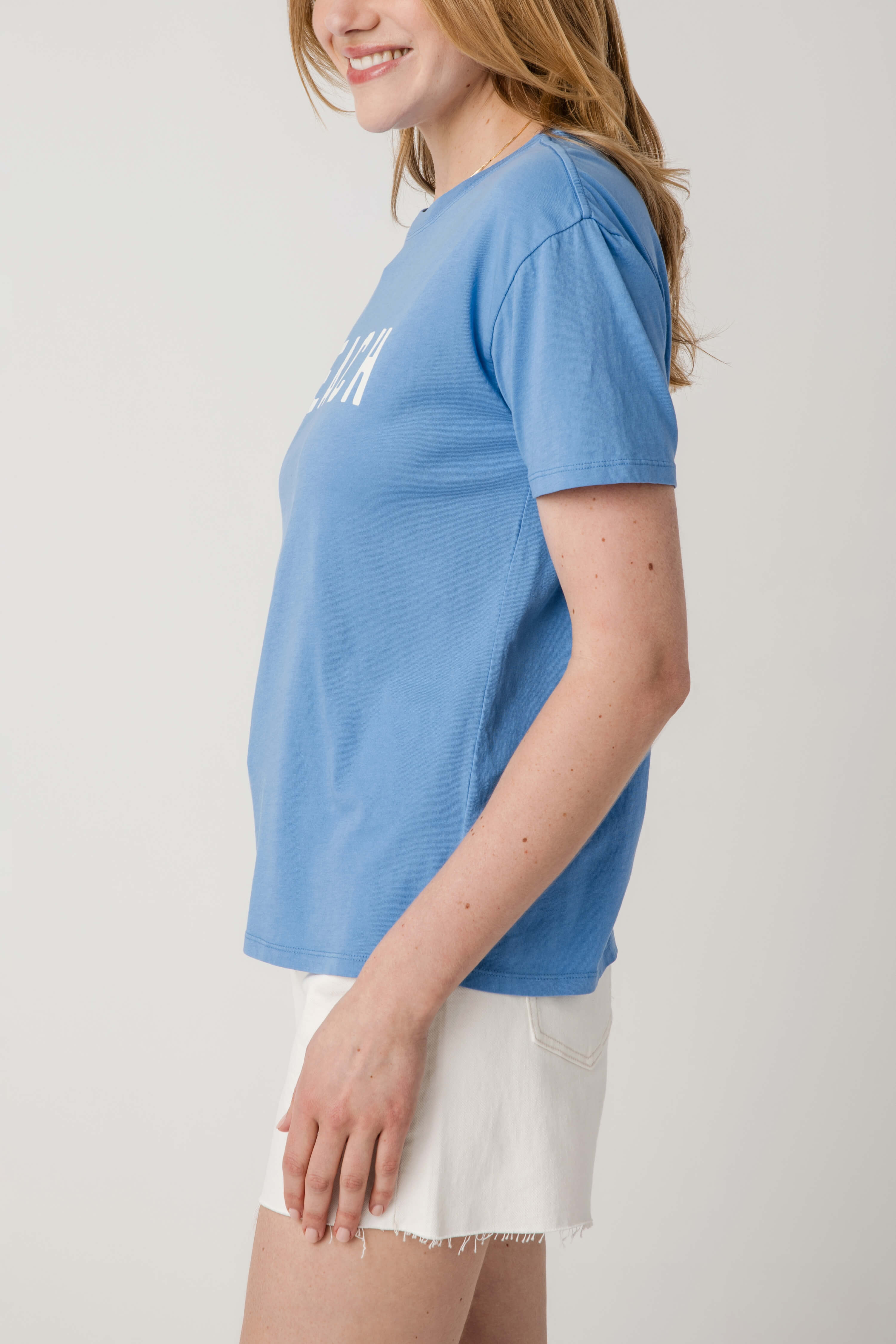Z Supply Beach Boyfriend Tee