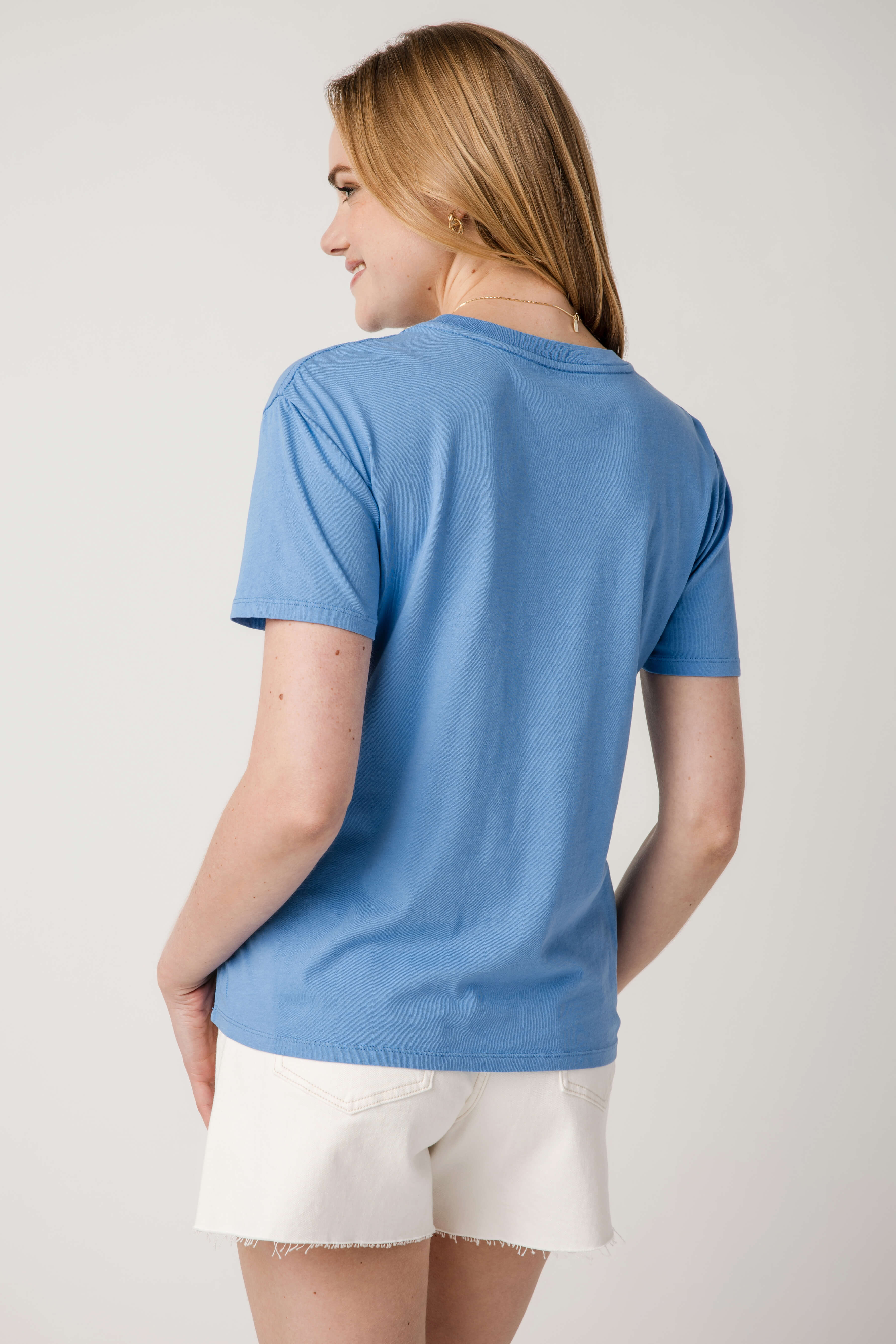 Z Supply Beach Boyfriend Tee
