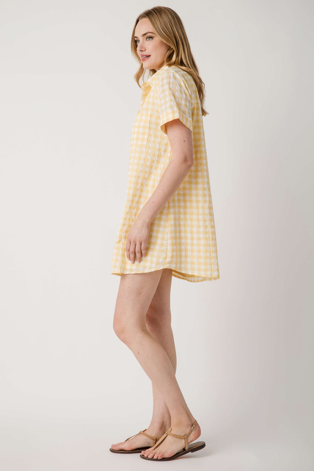 Day + Moon Gingham Easy Shirt Dress With Pocket Detail