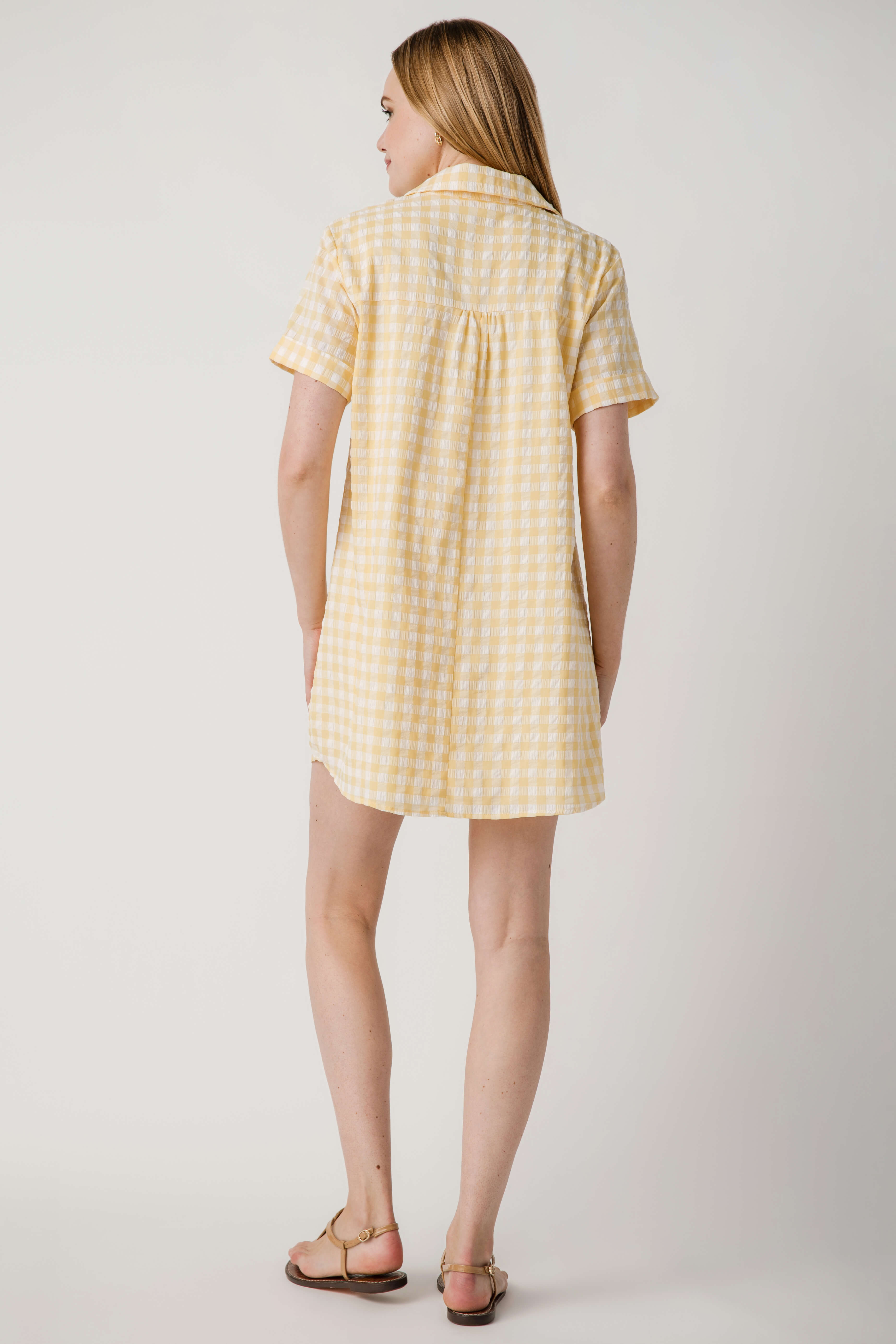 Day + Moon Gingham Easy Shirt Dress With Pocket Detail