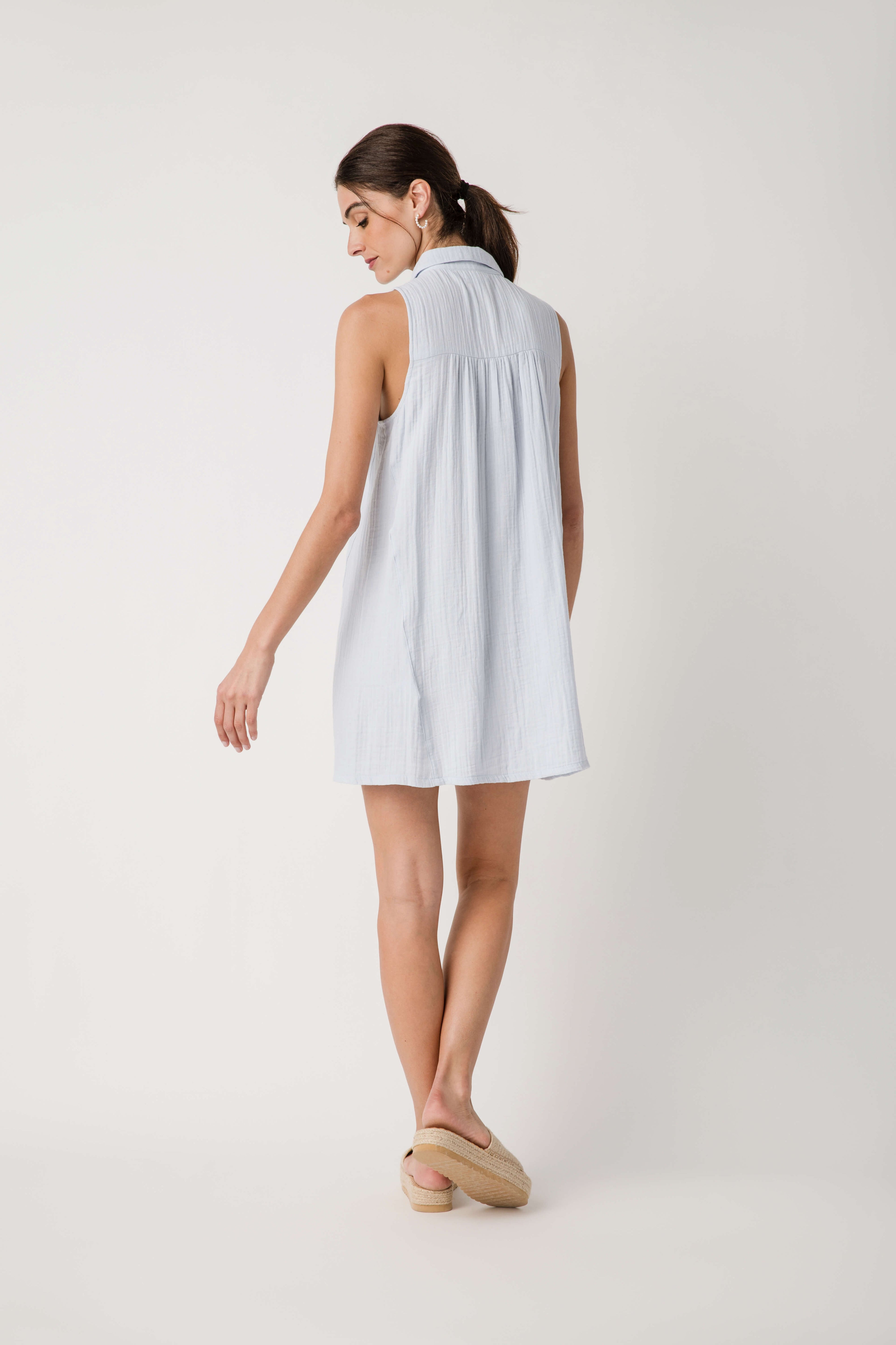Z Supply New Light Mini Dress