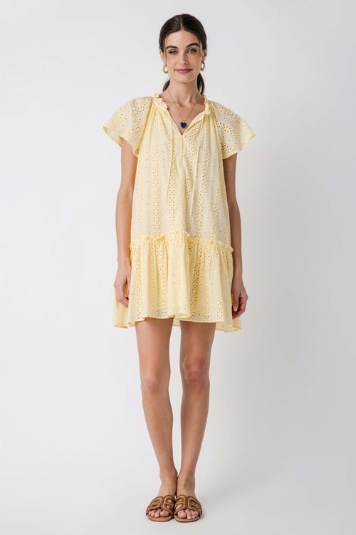 Lalavon Eyelet Ruffled Shift Dress
