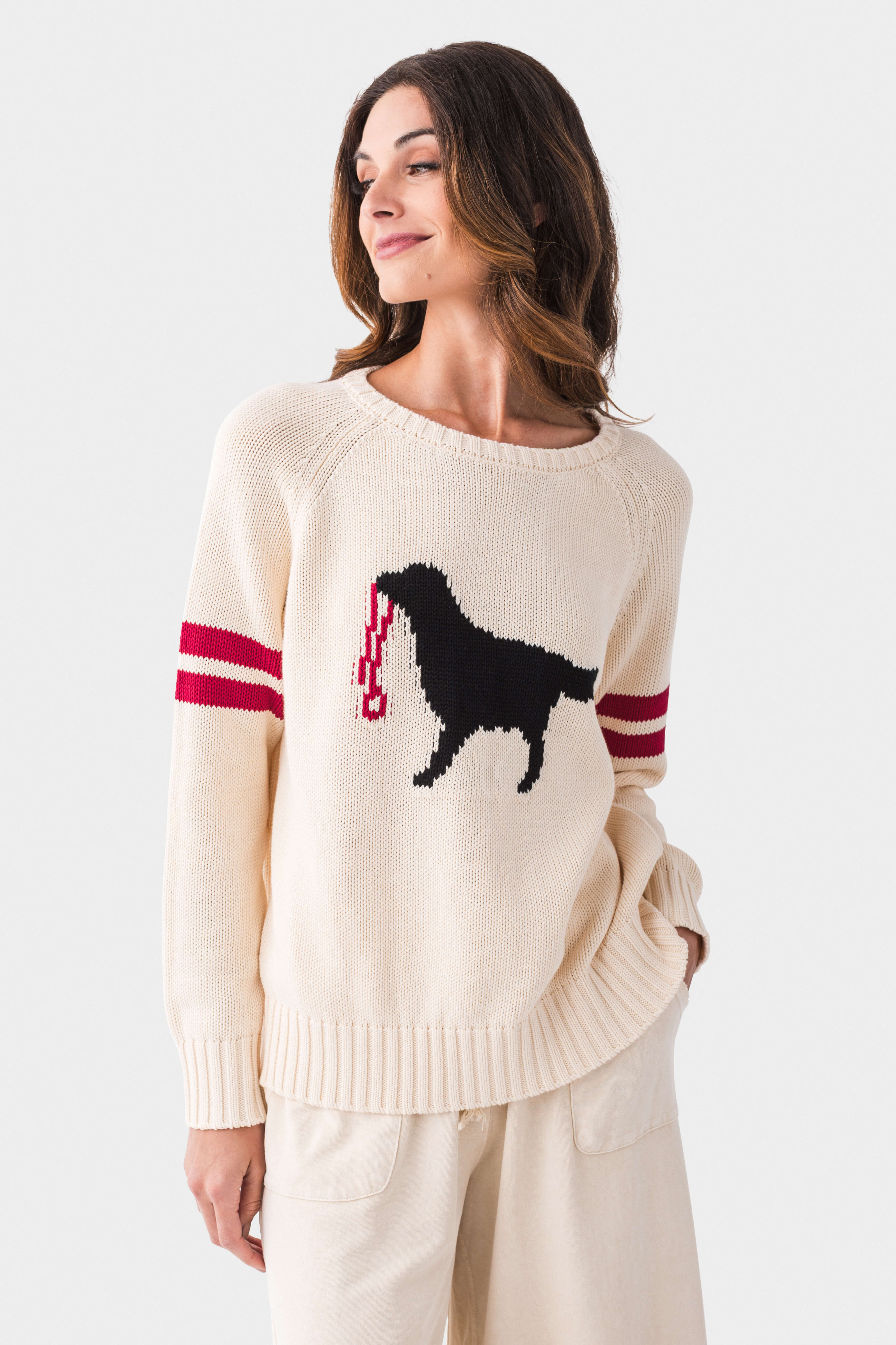 Pink Pineapple Black Dog Sweater – Social Threads