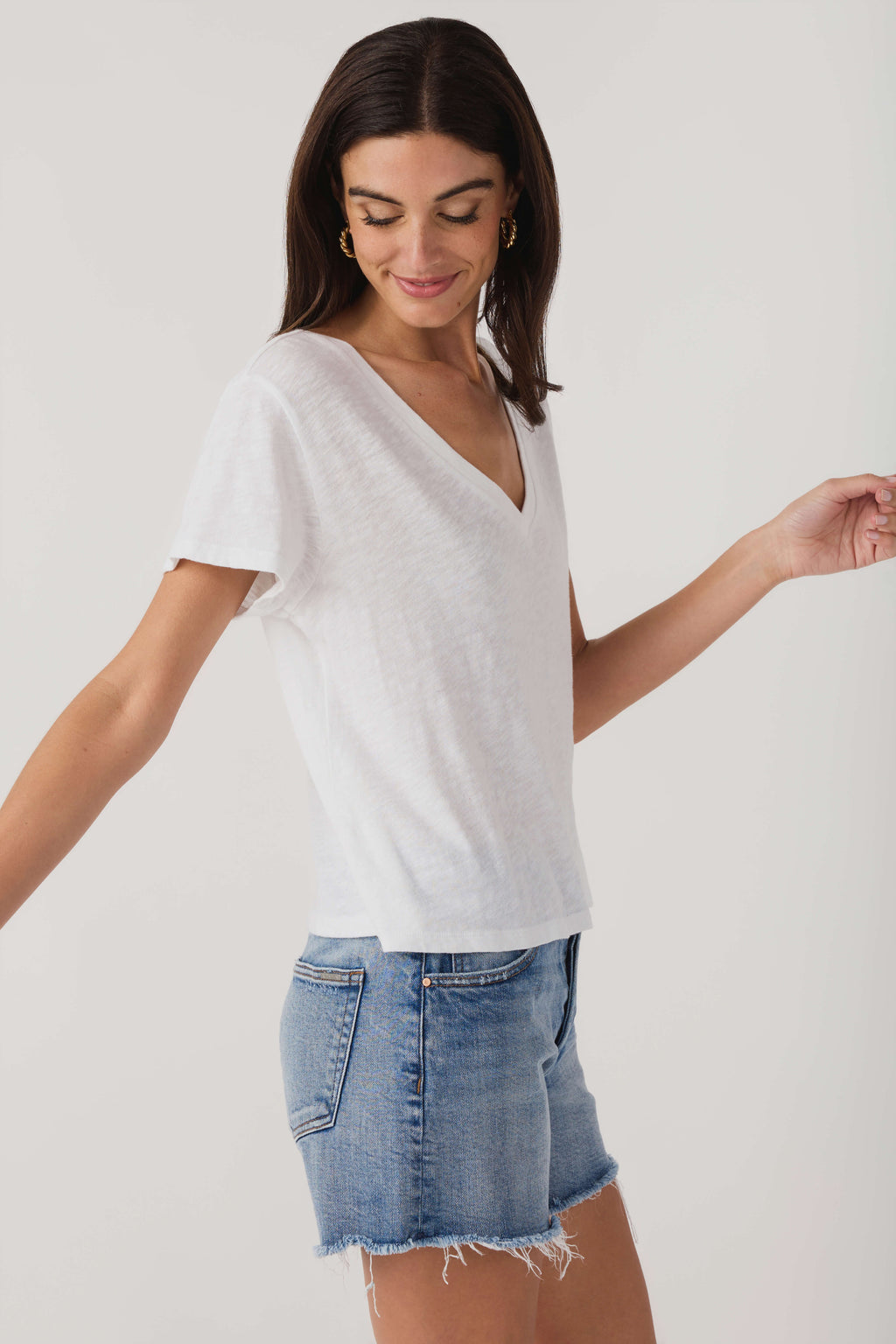 Z Supply Nomad V Neck Tee